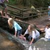 tegen de waterval opklimmen